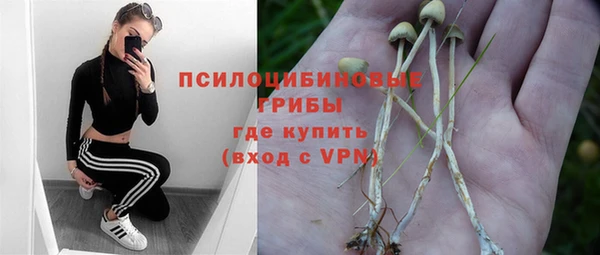 дживик Киреевск