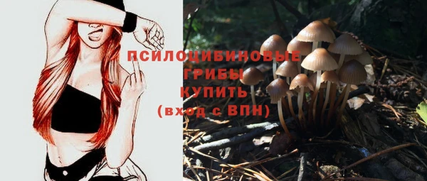 дживик Киреевск