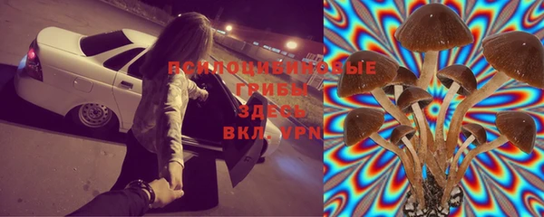 дживик Киреевск