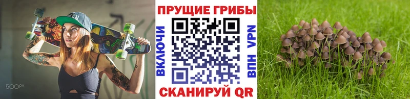 Галлюциногенные грибы GOLDEN TEACHER  Купить  Ак-Довурак 